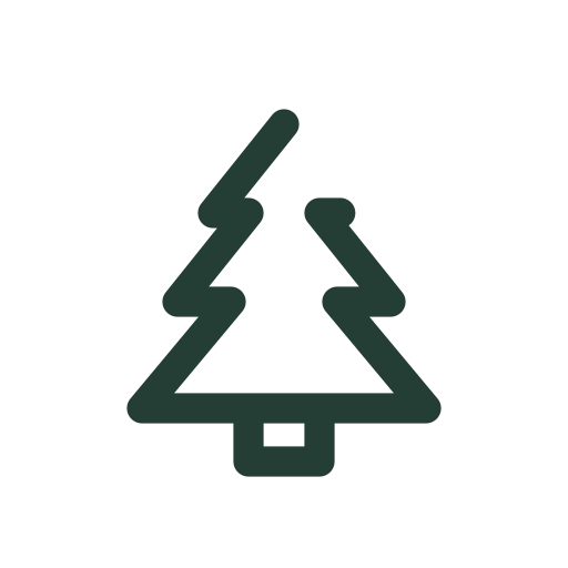 A layered evergreen pine tree draws into view for winter scenery and festive decorations.